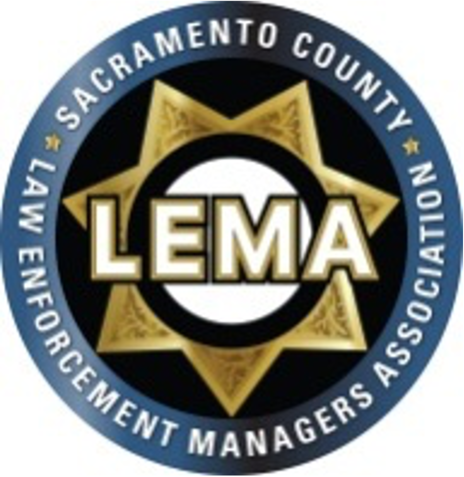 Lema logo